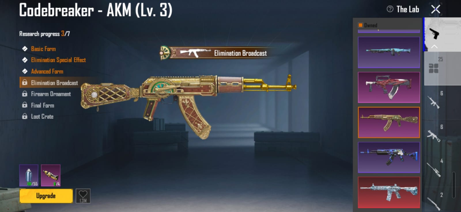 Codebreaker AKM Level 3