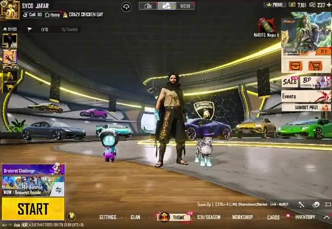 90.6 Collection Level 13x