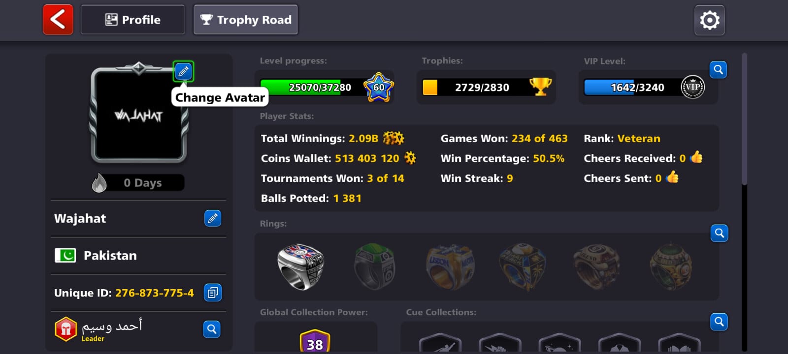 8 Ball Pool Veteran